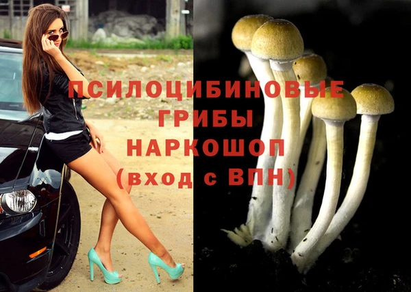 соль курить ск Алзамай